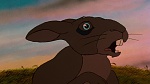 Watership Down picture