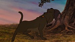 Watership Down picture