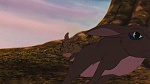 Watership Down picture
