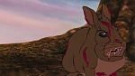 Watership Down picture