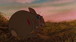 Watership Down picture