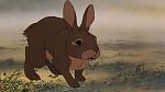 Watership Down picture