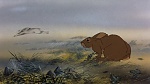 Watership Down picture