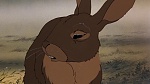 Watership Down picture