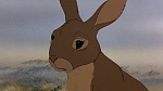 Watership Down picture