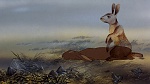 Watership Down picture