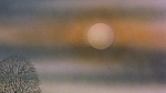 Watership Down picture