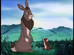 Watership Down : Home on the down picture