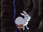 Watership Down : Home on the down picture