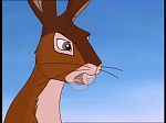 Watership Down : Home on the down picture