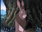 Watership Down : Home on the down picture