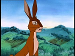 Watership Down : Home on the down picture