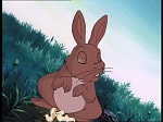 Watership down (TV) picture