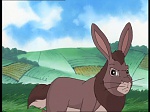 Watership down (TV) picture