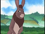 Watership down (TV) picture