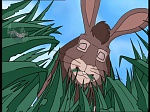 Watership Down : Home on the down picture