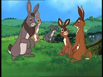 Watership Down : Home on the down picture
