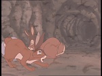 Watership down (TV) picture