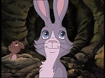 Watership Down : Home on the down picture