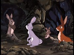 Watership Down : Home on the down picture