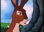 Watership Down : Home on the down picture