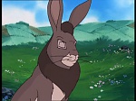 Watership Down : Home on the down picture