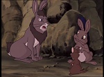 Watership Down : Home on the down picture