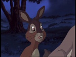 Watership Down : Home on the down picture