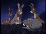 Watership down (TV) picture
