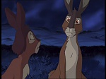 Watership Down : Home on the down picture