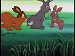 Watership Down : The easy life picture