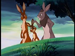 Watership down (TV) picture
