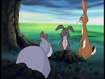 Watership Down : The easy life picture