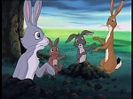 Watership Down : The easy life picture