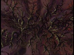 Watership down (TV) picture
