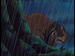 Watership Down : The easy life picture