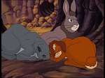 Watership Down : The easy life picture