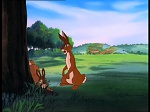 Watership Down : The easy life picture