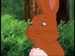 Watership Down : The easy life picture