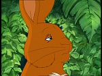 Watership Down : The easy life picture