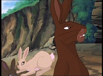 Watership Down : The shadow of Efrafa picture