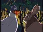 Watership Down : The shadow of Efrafa picture