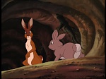 Watership Down : The raid picture