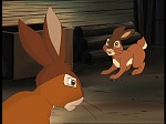 Watership Down : The raid picture