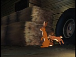 Watership Down : The raid picture