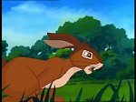 Watership Down : The raid picture