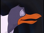 Watership Down : The raid picture