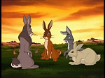 Watership Down : The raid picture