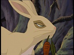 Watership Down : Challenge to Efrafa picture