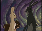 Watership Down : Challenge to Efrafa picture